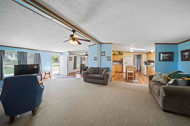 living room with crown molding, ceiling fan, light hardwood / wood-style floors, and a textured ceiling