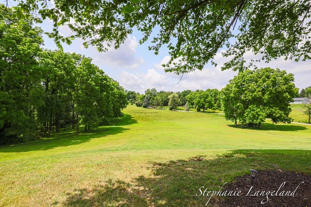 7300 Packer Dr NE, Belmont, MI 49306 - view of green lawn featuring view of scattered trees