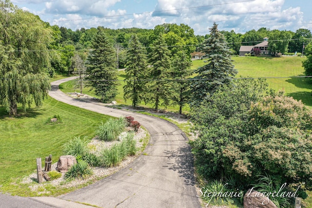 surrounding community featuring a yard