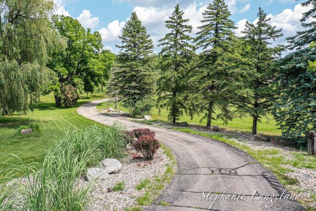 7300 Packer Dr NE, Belmont, MI 49306 - view of road