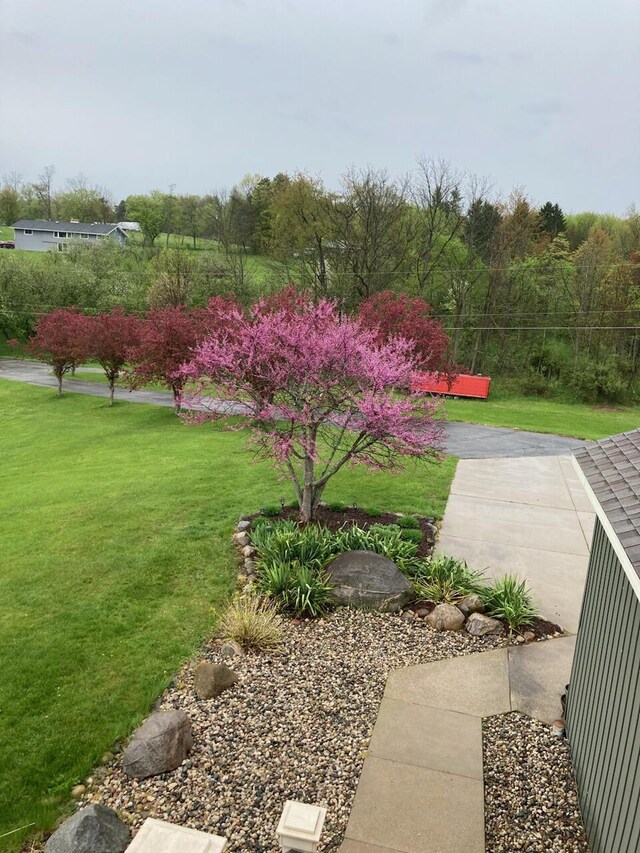 7300 Packer Dr NE, Belmont, MI 49306 - view of green lawn