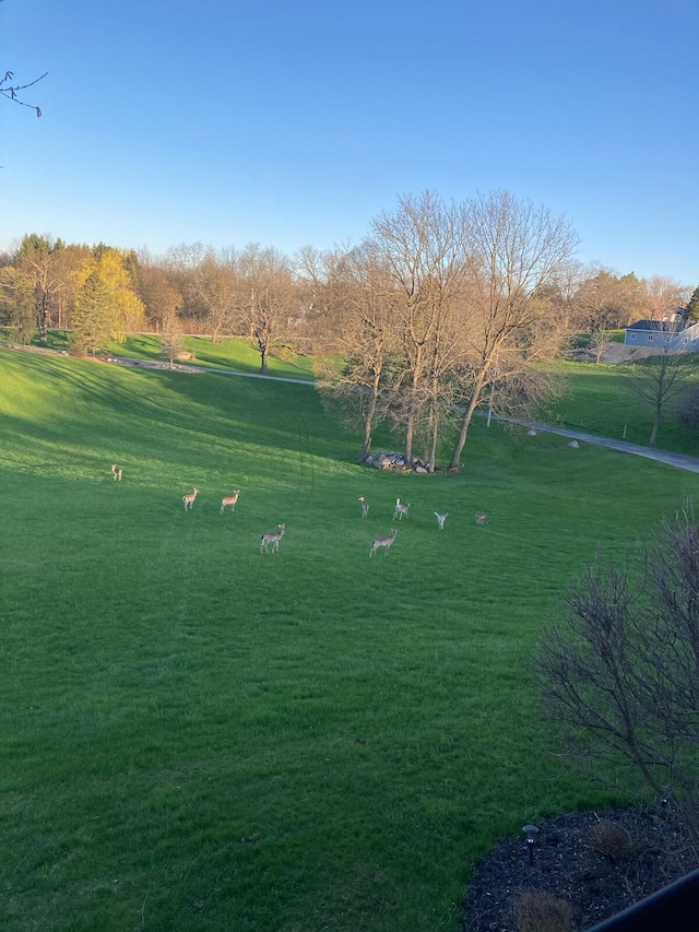 view of property's community featuring a lawn