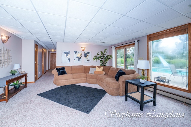 carpeted living room featuring a paneled ceiling