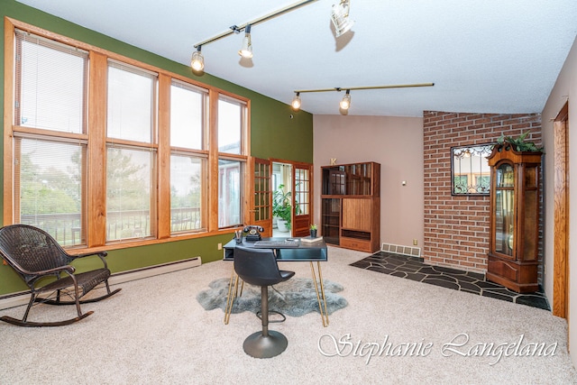 interior space featuring dark colored carpet, a baseboard heating unit, rail lighting, and vaulted ceiling