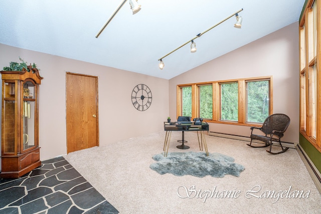 living area with a baseboard heating unit, track lighting, dark carpet, and lofted ceiling