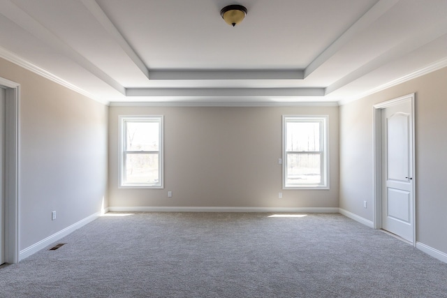 carpeted spare room featuring a tray ceiling, a healthy amount of sunlight, and ornamental molding