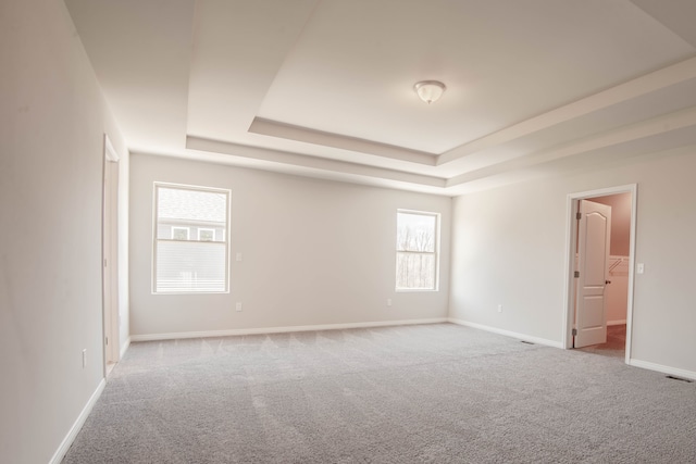 empty room featuring light colored carpet and a tray ceiling