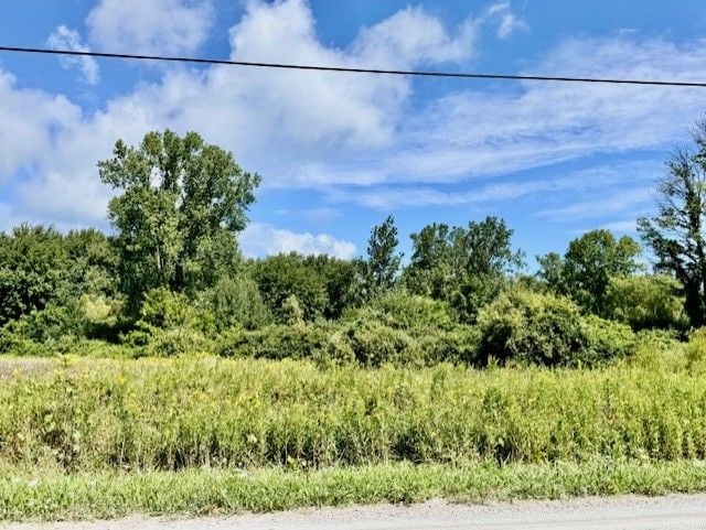 3154 Carrigan Rd, Fort Gratiot, MI 48059 - photo 3