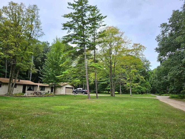 view of home's community featuring a yard