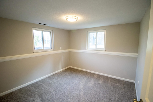 spare room featuring a textured ceiling, carpet floors, and plenty of natural light