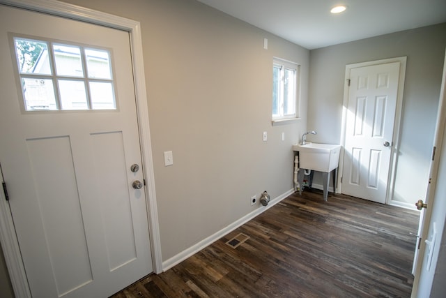 clothes washing area with plenty of natural light, sink, and dark wood-type flooring