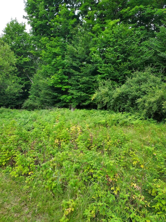 197 Hawks Eye Dr, Bellaire, MI 49615