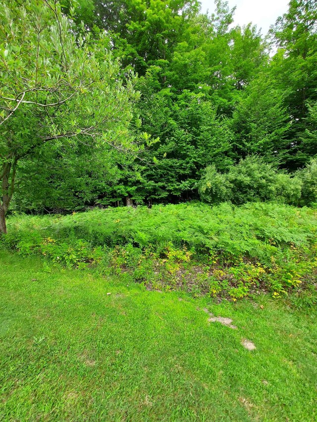 197 Hawks Eye Dr, Bellaire, MI 49615