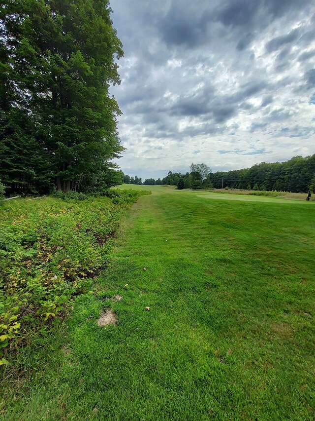 197 Hawks Eye Dr, Bellaire, MI 49615