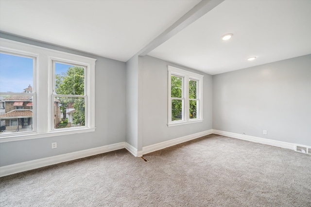 empty room featuring carpet