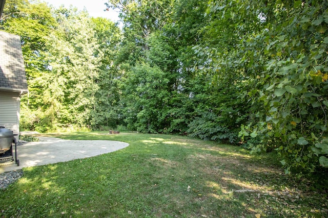 view of yard with a patio