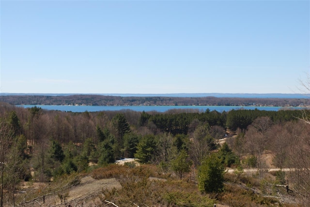 LOTD-2 Valley Ct, Central Lake MI, 49622 land for sale