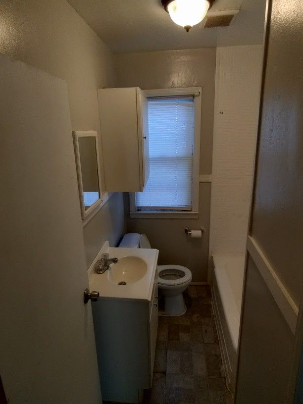 bathroom featuring vanity, a bathtub, and toilet