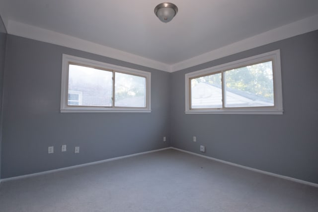 empty room with carpet