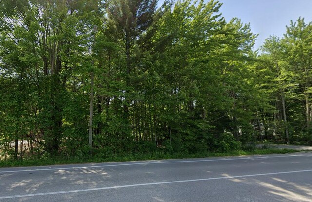 16249 148th Ave, Spring Lake, MI 49456 - view of asphalt street with a forest view