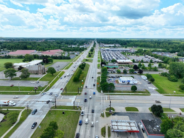 12841 Telegraph Rd, Taylor, MI 48180 - drone / aerial view of a tree filled landscape