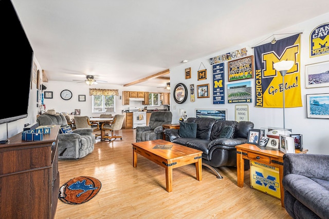 living room with ceiling fan and light hardwood / wood-style flooring