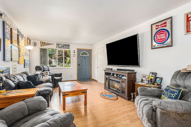 living room with hardwood / wood-style floors