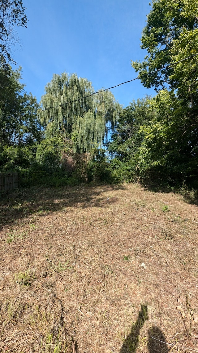 14025 Dacosta St, Detroit, MI 48223 - view of yard