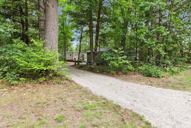 8529 N Blair Dr, Bitely, MI 49309 - view of dirt / gravel driveway