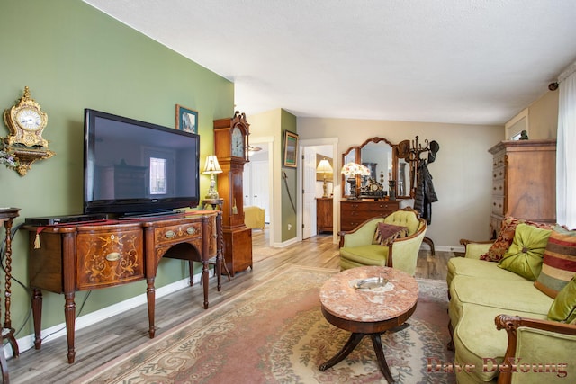 living room with light hardwood / wood-style floors