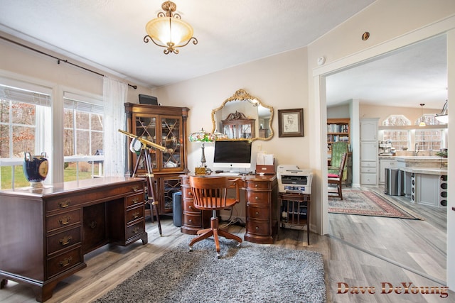 office space featuring light hardwood / wood-style flooring and a wealth of natural light