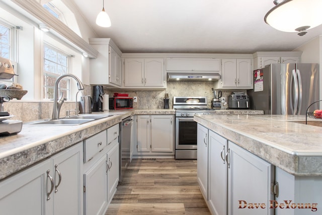 kitchen featuring sink, hanging light fixtures, light hardwood / wood-style flooring, exhaust hood, and appliances with stainless steel finishes