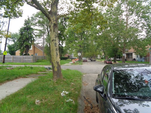 13281 Gable St, Hamtramck, MI 48212