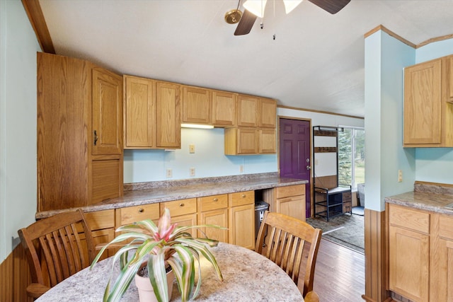 kitchen featuring ceiling fan, dark wood-type flooring, and ornamental molding