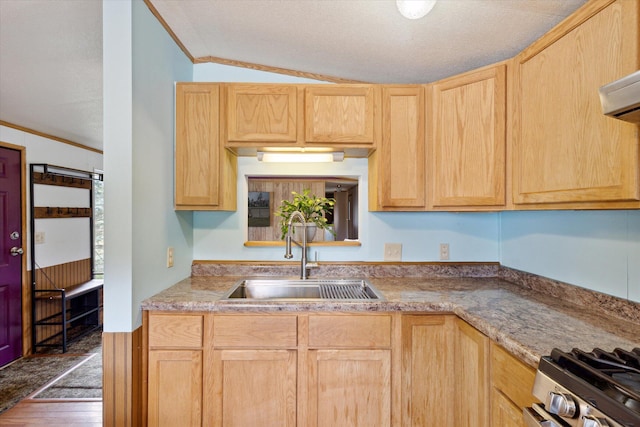 kitchen with ornamental molding, dark wood-type flooring, sink, light brown cabinets, and lofted ceiling