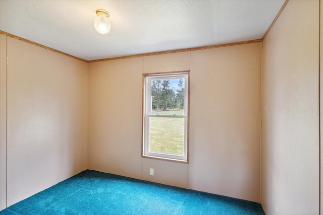 spare room with crown molding, carpet floors, and a textured ceiling