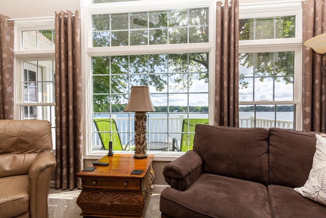 living room featuring carpet, a wealth of natural light, and a water view