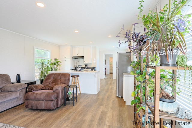 living room with crown molding, light hardwood / wood-style flooring, and sink