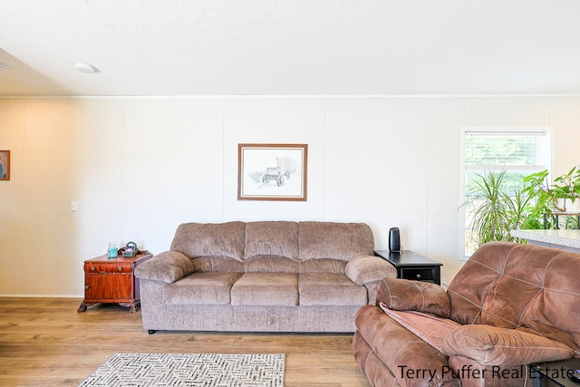 living room featuring light hardwood / wood-style flooring