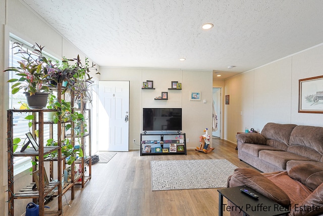 living room featuring hardwood / wood-style floors and a textured ceiling