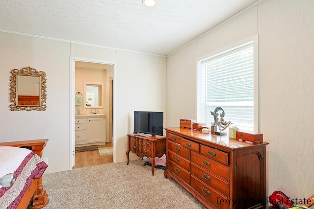 bedroom featuring ensuite bath, light carpet, a textured ceiling, and ornamental molding