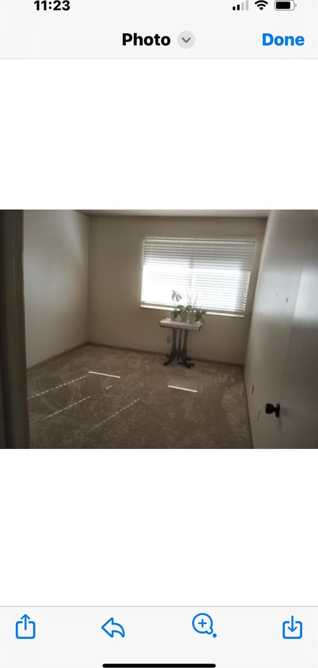 unfurnished room featuring carpet