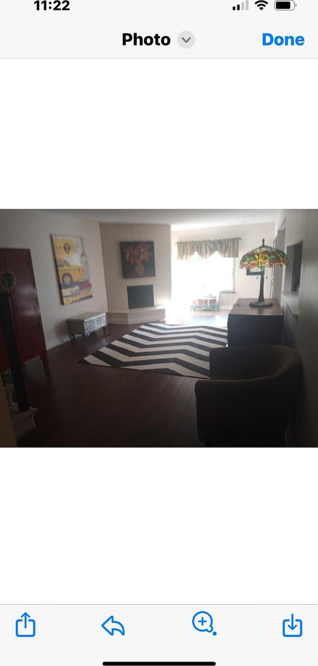 living room featuring hardwood / wood-style flooring