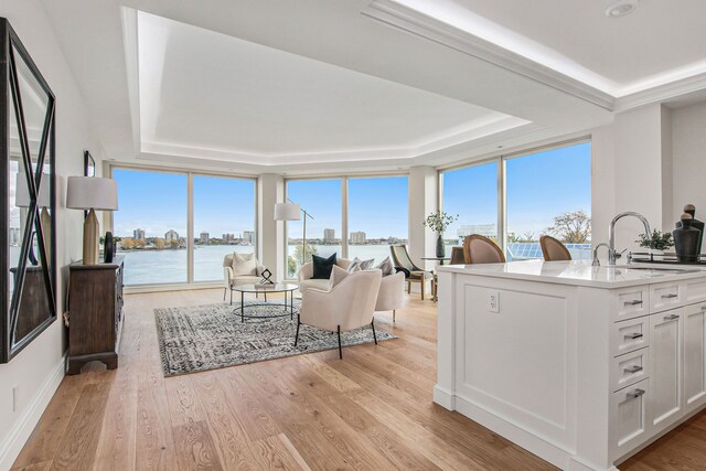 201 Beers St Unit 53, Port Huron, MI 48060 - living room featuring a raised ceiling, light wood-style flooring, a water view, and baseboards