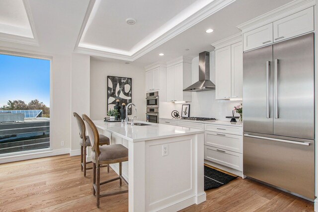 201 Beers St Unit 53, Port Huron, MI 48060 - kitchen featuring appliances with stainless steel finishes, wall chimney exhaust hood, a sink, a tray ceiling, and white cabinetry