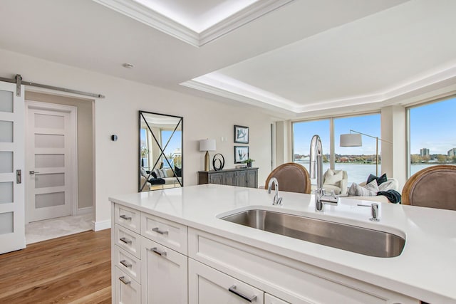 kitchen with plenty of natural light, a barn door, a water view, and light hardwood / wood-style flooring