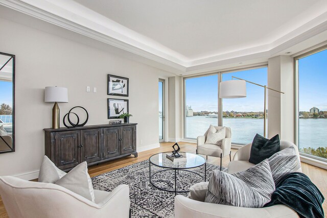 201 Beers St Unit 53, Port Huron, MI 48060 - living room with light wood-style floors, a water view, healthy amount of natural light, and a raised ceiling