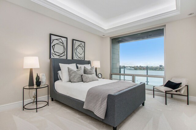 201 Beers St Unit 53, Port Huron, MI 48060 - bedroom with carpet, a water view, a raised ceiling, and baseboards