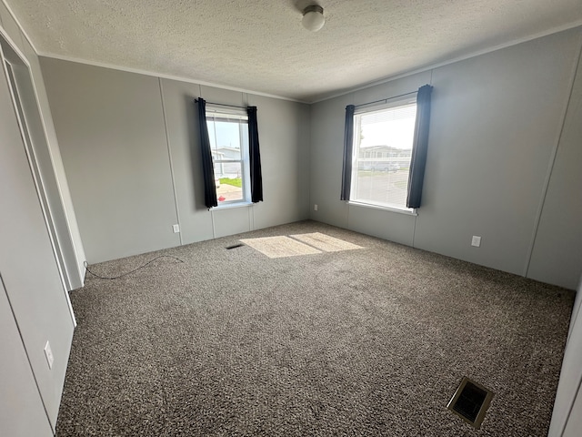 carpeted spare room featuring a healthy amount of sunlight and a textured ceiling