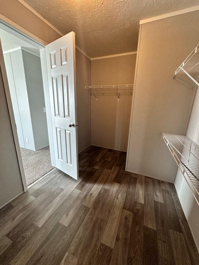 spacious closet featuring dark hardwood / wood-style floors